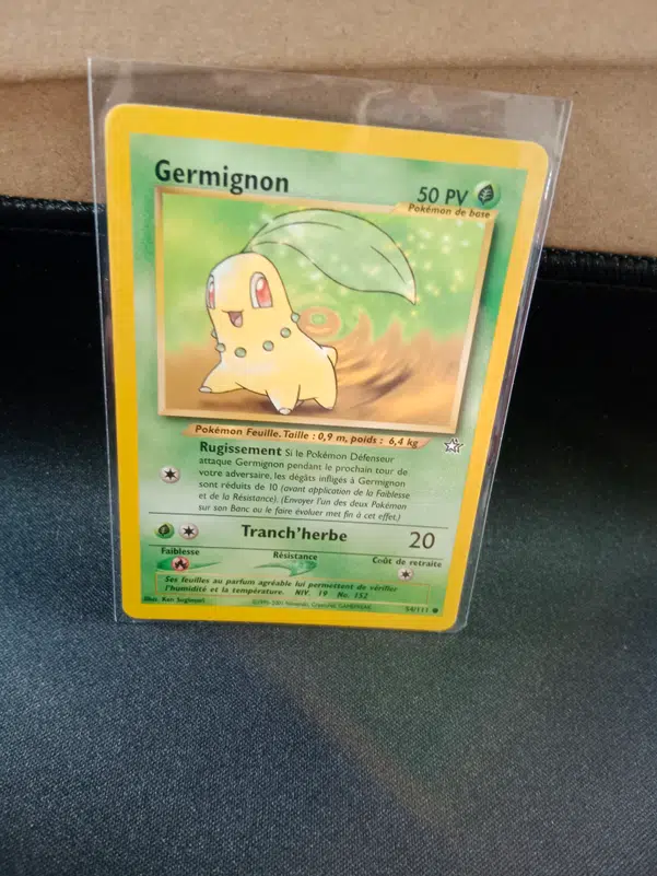 ImageUpload|10551915