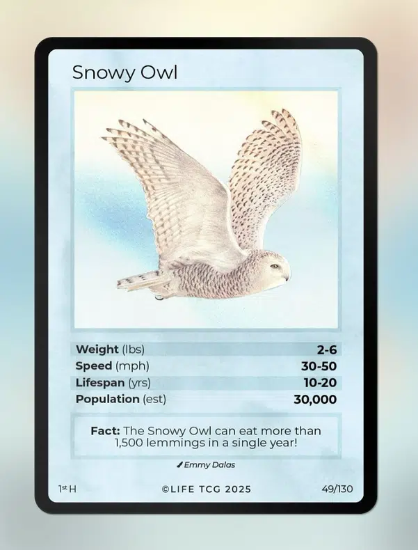 ImageUpload|12642973