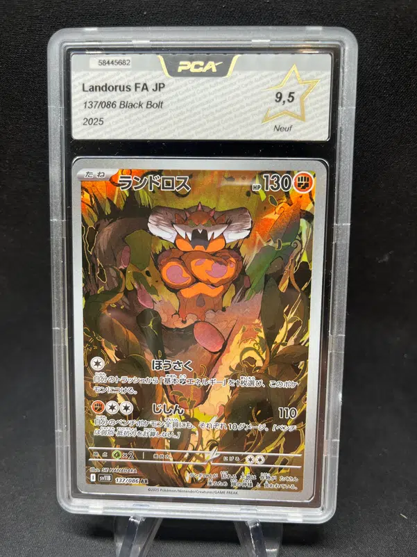 ImageUpload|13175280