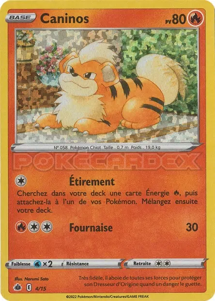 ImageUpload|10885351