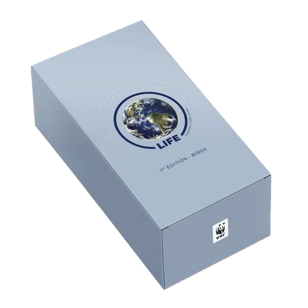 ImageUpload|12719379