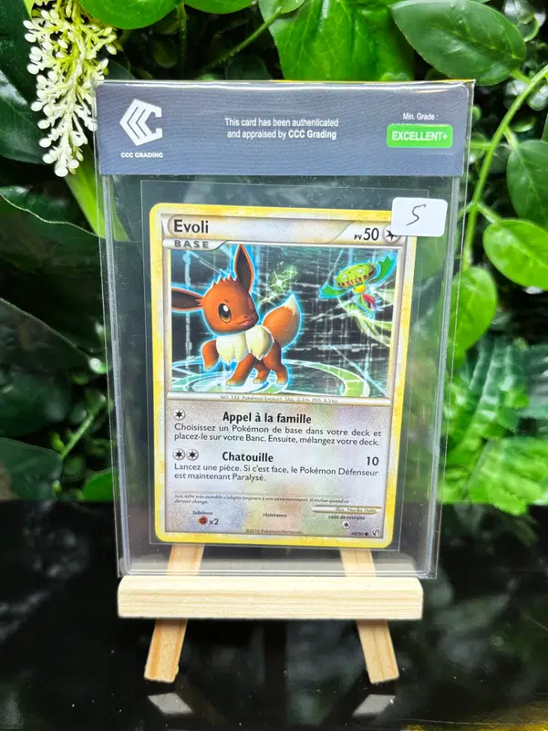 ImageUpload|13351998