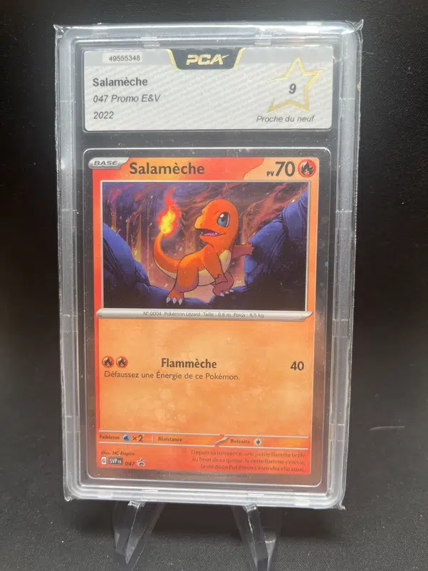 ImageUpload|12851580