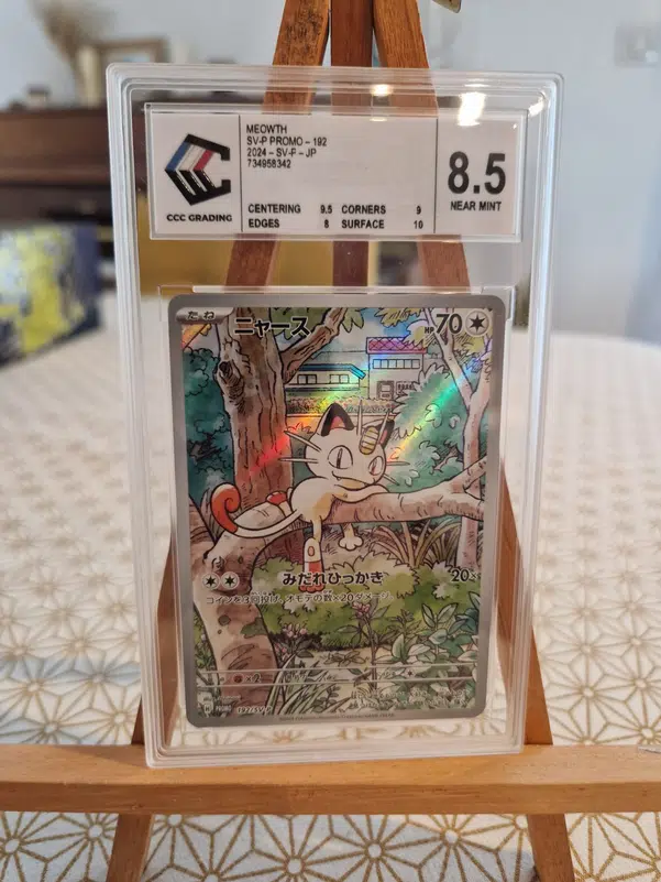 ImageUpload|13626082