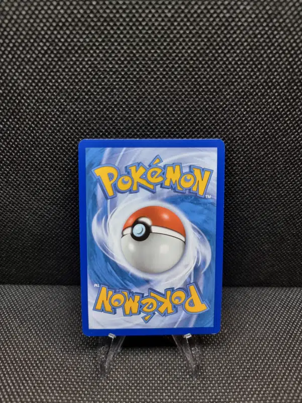 ImageUpload|11601213