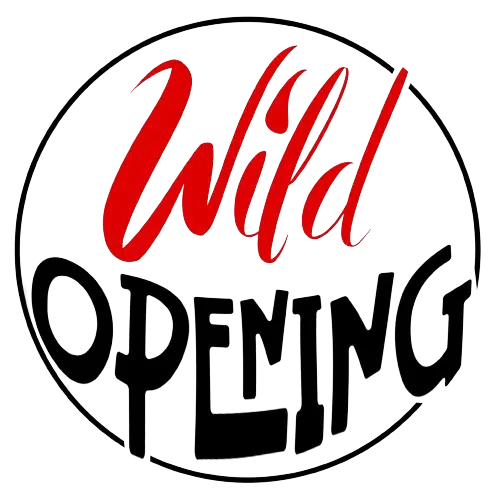 ImageUpload|13363156