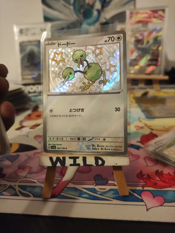 ImageUpload|12953838