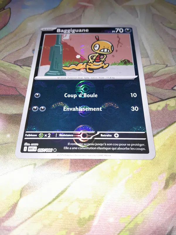 ImageUpload|12516239