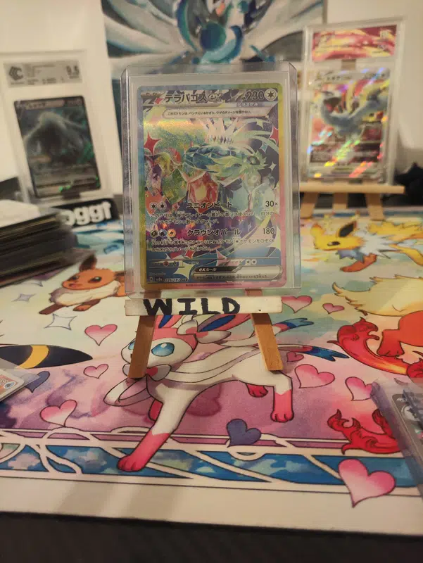 ImageUpload|12954083