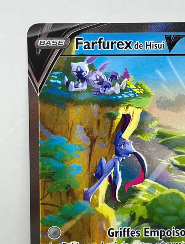 ImageUpload|10594146