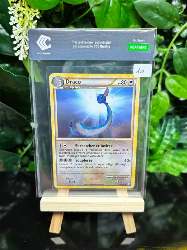 ImageUpload|13351997