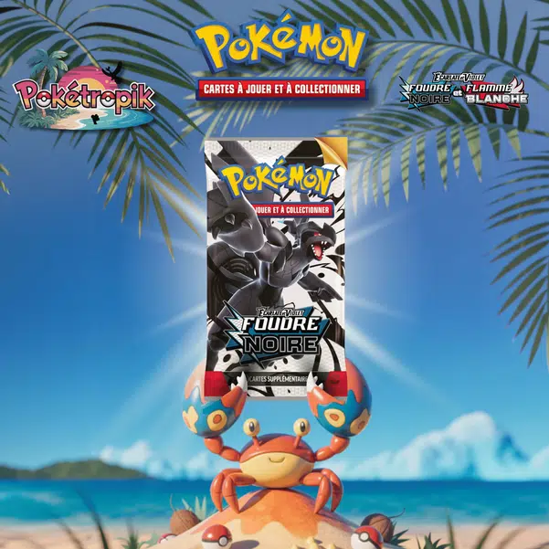 ImageUpload|13503762