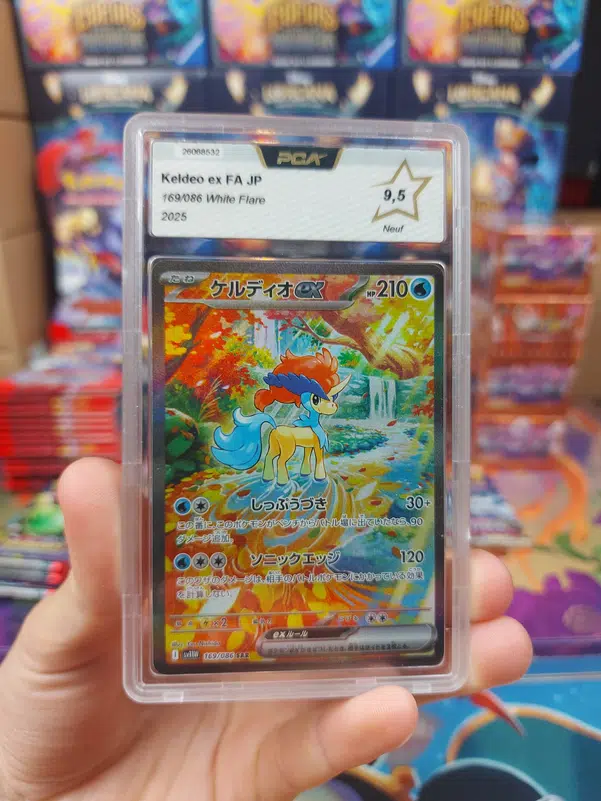 ImageUpload|13531062