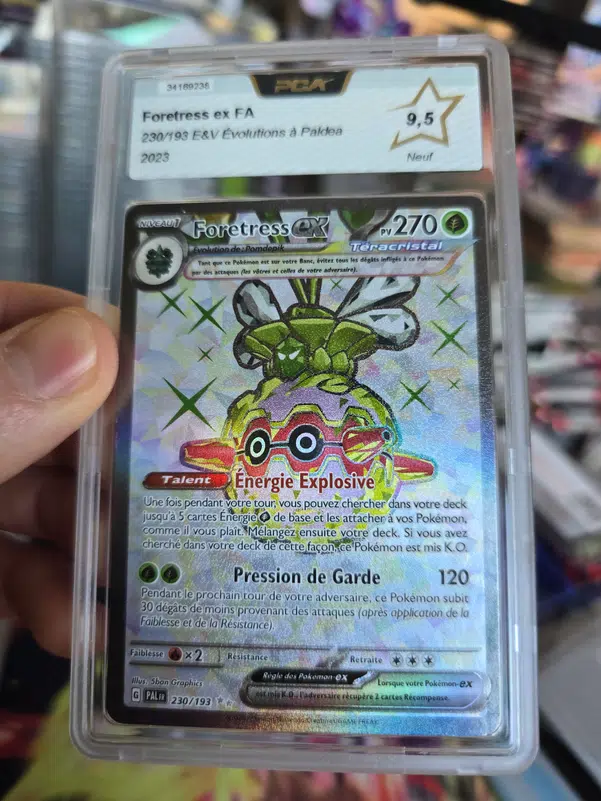 ImageUpload|10896806