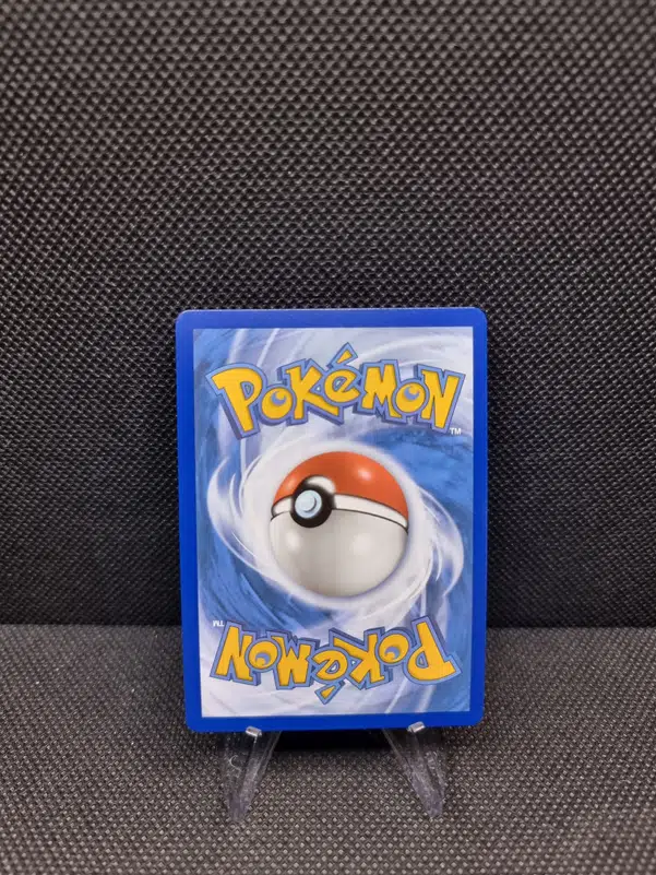 ImageUpload|13942069