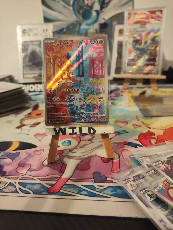 ImageUpload|12954105