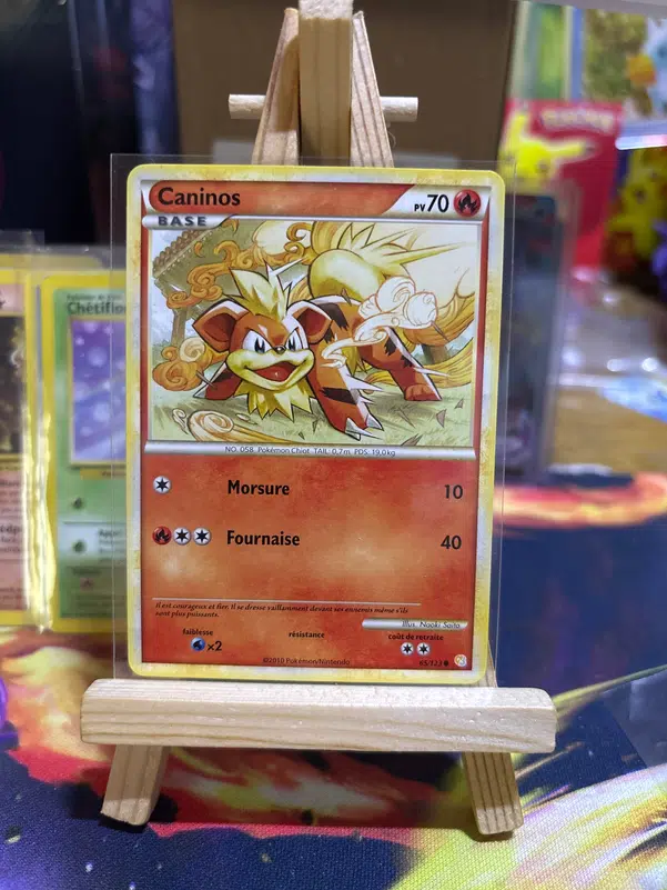 ImageUpload|10672297