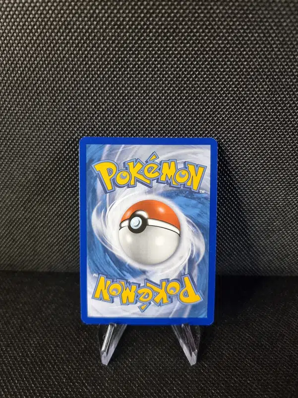 ImageUpload|11281728