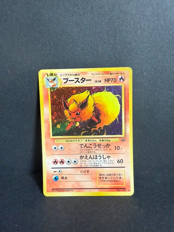 ImageUpload|12986323