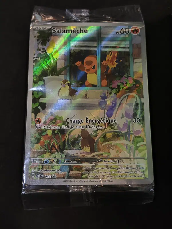 ImageUpload|13179373