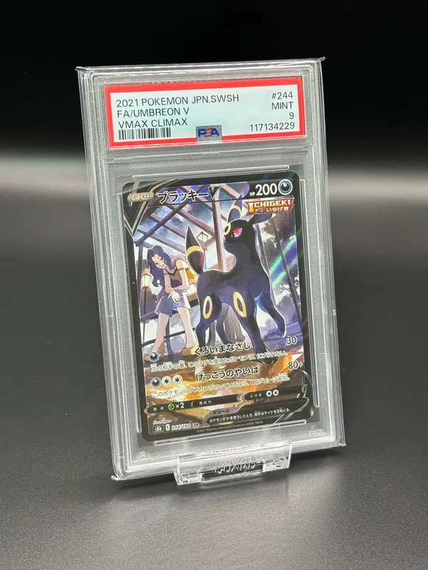 ImageUpload|15938519