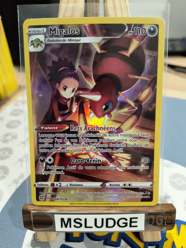 ImageUpload|13486948