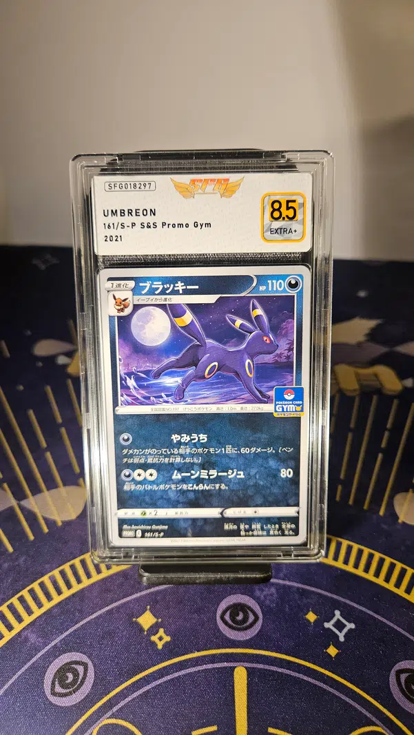 ImageUpload|10312580