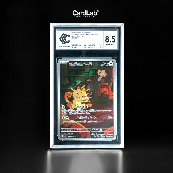 ImageUpload|11078694