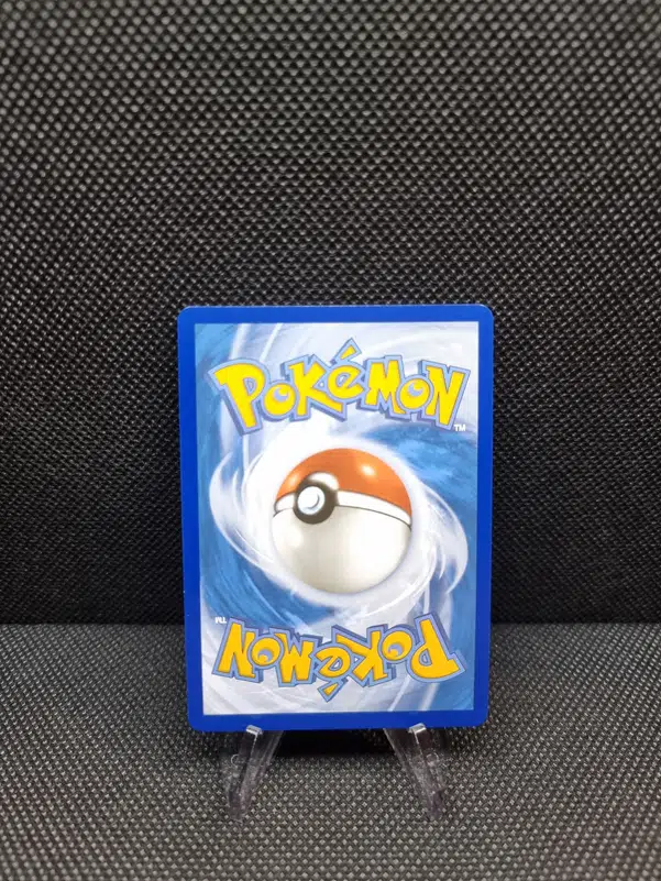 ImageUpload|11282458