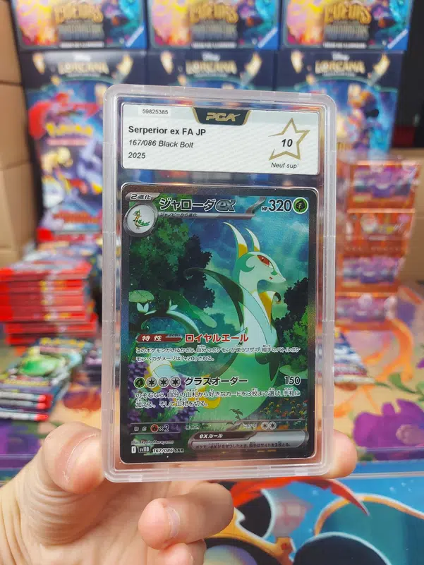 ImageUpload|13531061