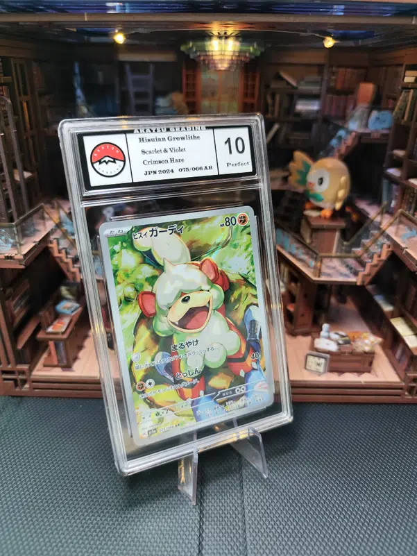 ImageUpload|10203746