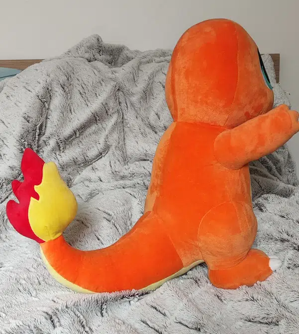 ImageUpload|10916469