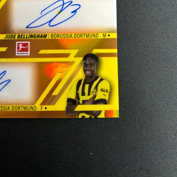 ImageUpload|14718776