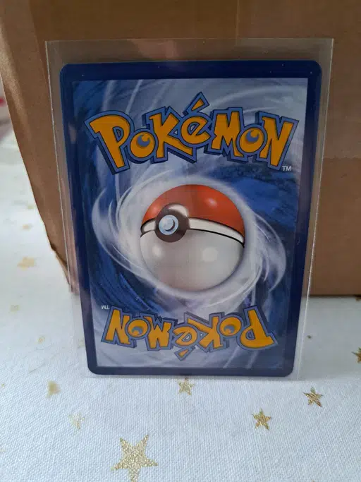 ImageUpload|10502056