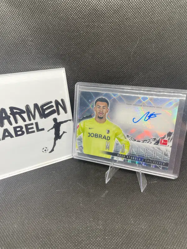 ImageUpload|10787837