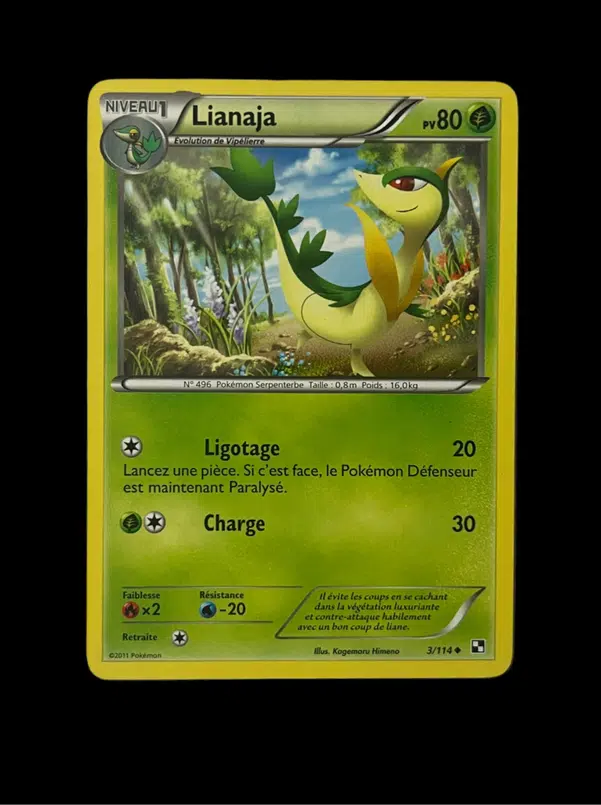 ImageUpload|14074103