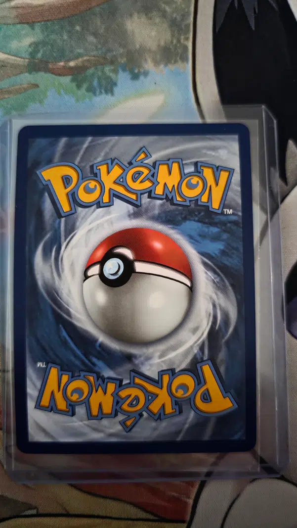 ImageUpload|15355804