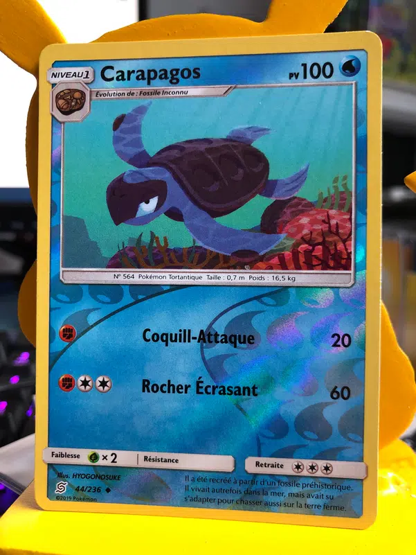 ImageUpload|10192049