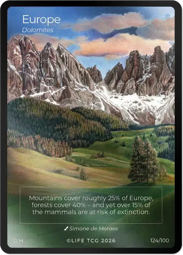 ImageUpload|15808303