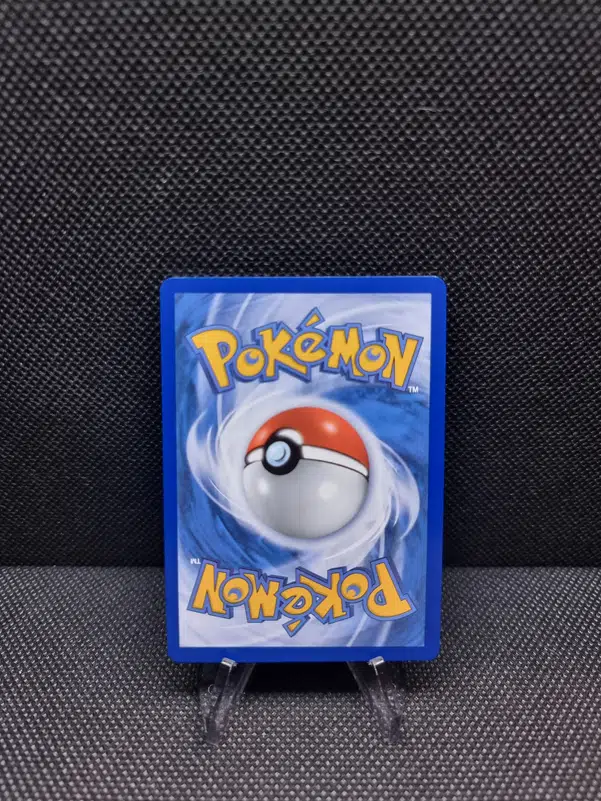 ImageUpload|11283338