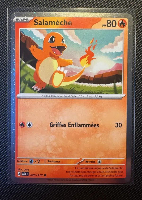 ImageUpload|15858805