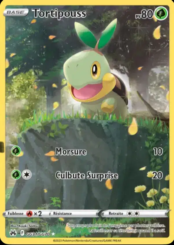 ImageUpload|12550501