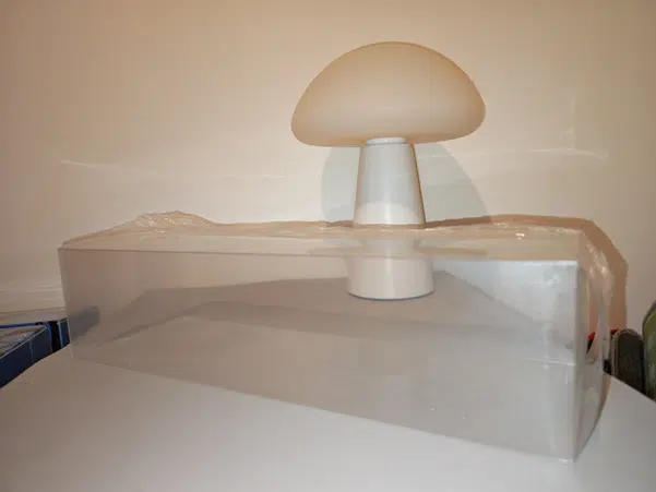 ImageUpload|12115395