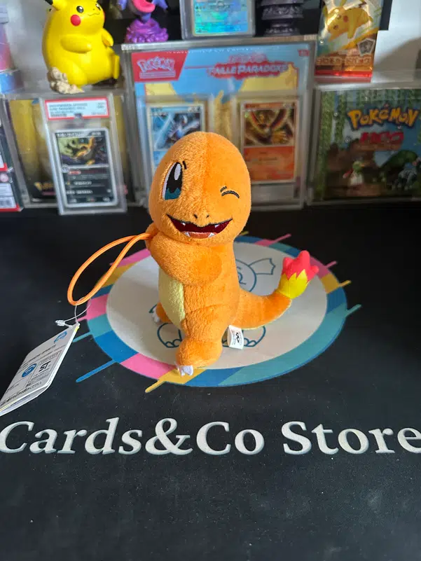 ImageUpload|12932994