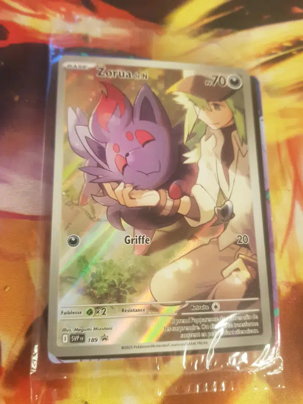 ImageUpload|10226809