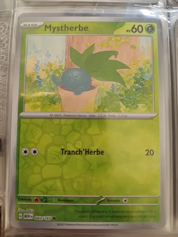 ImageUpload|12235972