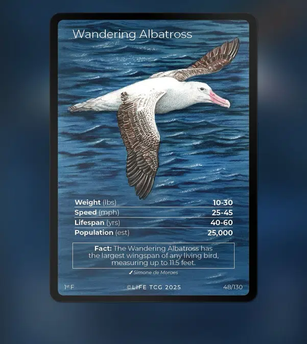 ImageUpload|12642973