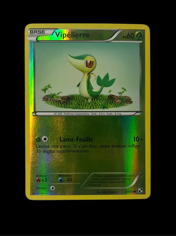 ImageUpload|14074050