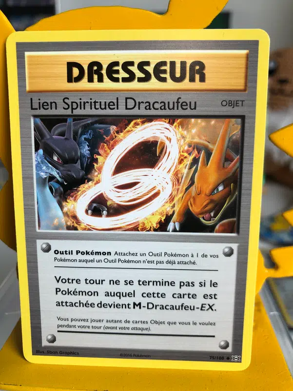 ImageUpload|10832552