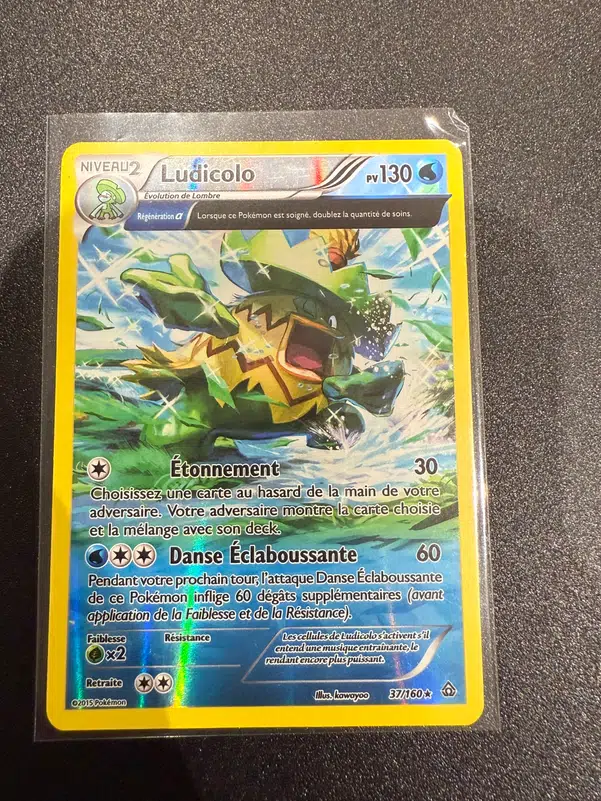 ImageUpload|10739904